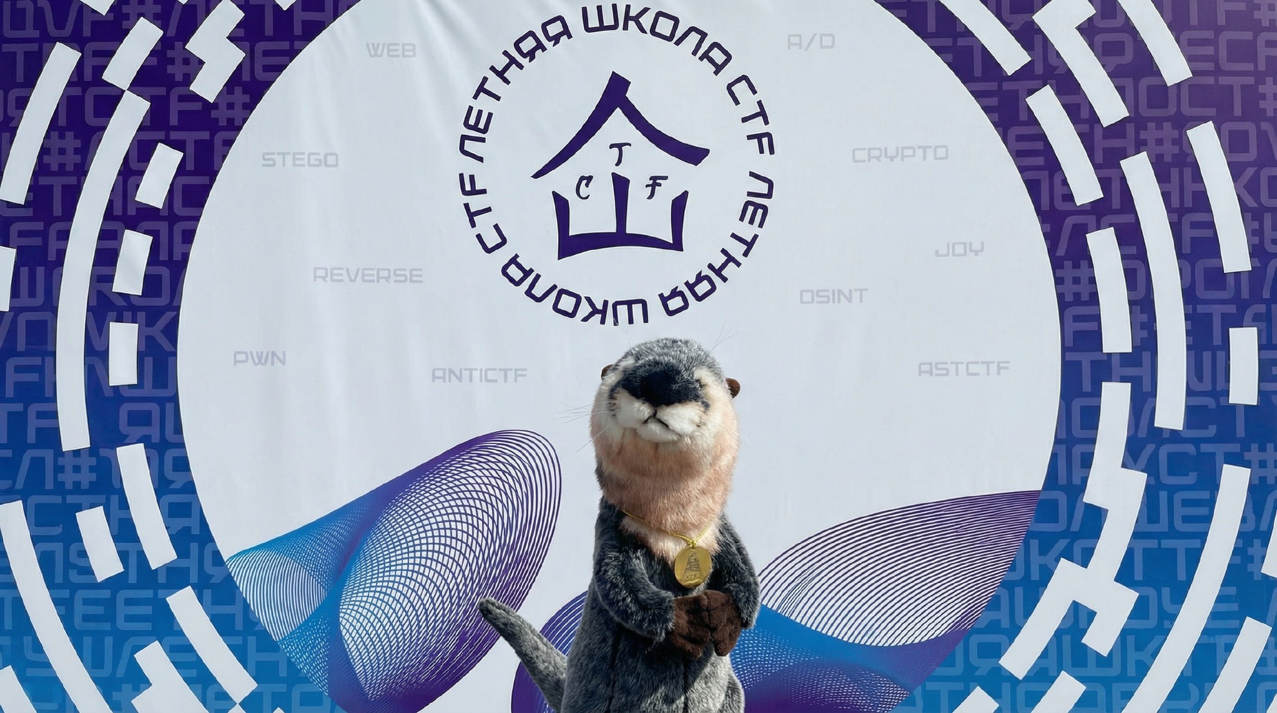 Главная